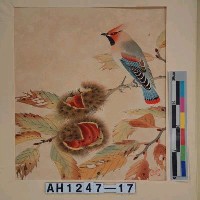 藏品(昭和11年『翠光花鳥版畫集』－栗連雀)的圖片